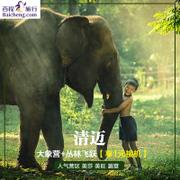 百程 泰国旅游清迈大象营一日游美莎美旺湄登大象营丛林骑象飞跃 